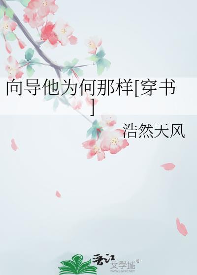 向导他为何那样[穿书]