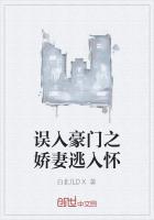 误入豪门之娇妻逃入怀