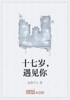 十七岁，遇见你