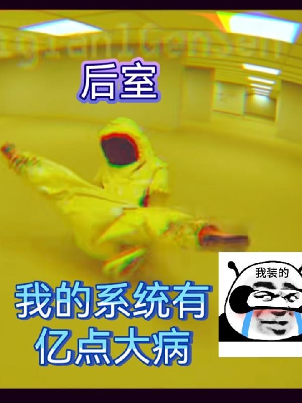 后室:我的系统有亿点大病