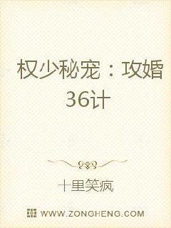 权少秘宠:攻婚36计