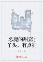 恶魔的甜宠:丫头,有点狂