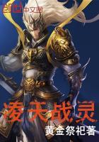 凌天战灵