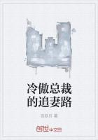 冷傲总裁的追妻路