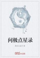 问极点星录