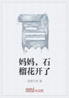 妈妈,石榴花开了