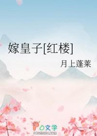 [红楼] 皇子宠妻日常