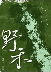 野禾（伪、bdsm）