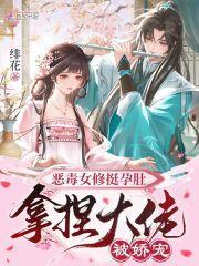 恶毒女修挺孕肚，拿捏大佬被娇宠