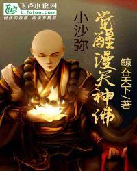 小沙弥;觉醒漫天神佛