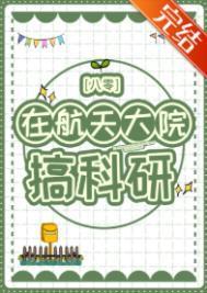 在航天大院搞科研[八零]
