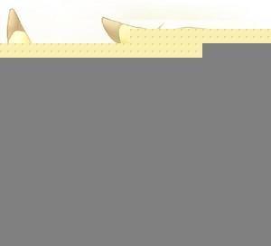 哥哥，请享用（双性）