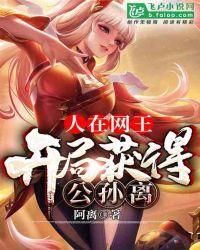 人在网王,开局获得公孙离