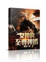 女神的至尊神婿(林云李幼琪)