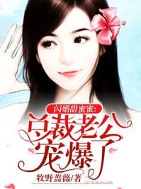 闪婚老公宠爆了(沈擎苍乔雪鸢)