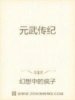 元武传纪