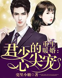 重生暖婚：君少的心尖宠