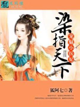 染指天下:宠魅小医妃