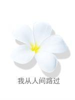 我从人间路过